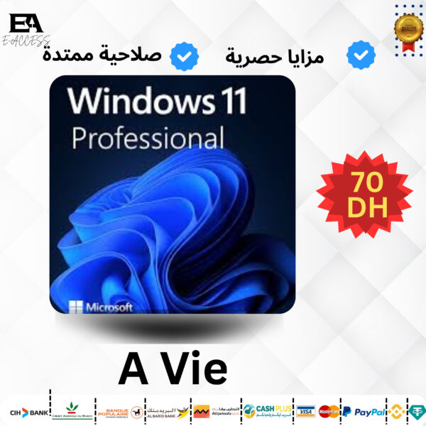 Windows 11 Pro